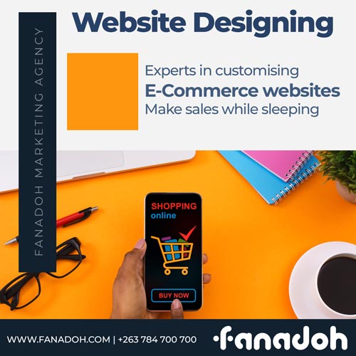 Fanadoh website designing in harare zimbabwe